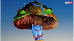 Govardhan Puja 2025 Date: आज या कल, कब है गोवर्धन पूजा? जानिए तारीख से लेकर शुभ मुहूर्त और पूजा विधि