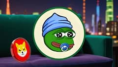 Shiba Inu (SHIB) Traders Are Rotating Into Little Pepe (LILPEPE), Is This the Next 100x Meme Coin?