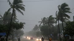 செங்கல்பட்டு: கனமழை காரணமாக நாளை பள்ளி, கல்லூரிகளுக்கு விடுமுறை! மாவட்ட ஆட்சியர் அதிரடி உத்தரவு!