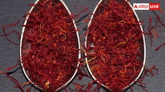 Kashmiri Saffron: कश्मीर के केसर का ईरान से है सीधा संबंध, जानें इस लाल सोने के ईरानी कनेक्शन के बारे में