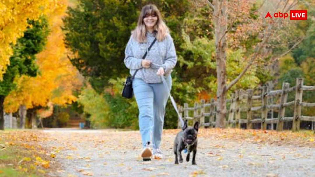 सिर्फ 15 मिनट की ब्रिस्क वॉक से मिलते हैं ये 3 फायदे, एक तो बढ़ा देगा आपकी उम्र 15 minutes of brisk walk health benefits tips which can help increase lifespan with brisk walk सिर्फ 15 मिनट की ब्रिस्क वॉक से मिलते हैं ये 3 फायदे, एक तो बढ़ा देगा आपकी उम्र