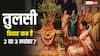 Tulsi Vivah 2025: 2 या 3 नवंबर 2025 कब है तुलसी विवाह? जानें शुभ मुहूर्त और महत्व