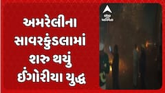 Ingoriya Yudh in Amreli: સાવરકુંડલામાં ઈંગોરિયા યુદ્ધ, વર્ષો જૂની પરંપરા યથાવત, શેરીઓ બની રણભૂમિનું મેદાન