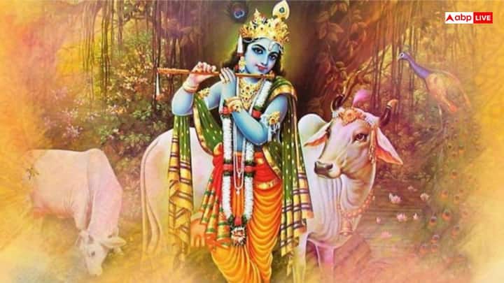 गोवर्धन पूजा के लिए आवश्यक सामग्री में गोबर से बना पर्वत, जल से भरा कलश, दीपक, धूप, अगरबत्ती, पंचामृत, फल, मिठाई, गोमती चक्र, गाय का दूध और घी, तुलसी पत्ते, गंगाजल, झाड़ू, सूप, पंखा और गोवर्धन को ओढ़ाने के लिए कपड़ा शामिल है. अन्नकूट प्रसाद के लिए कई तरह की सब्जियां और पकवानों का मिश्रण तैयार किया जाता है.