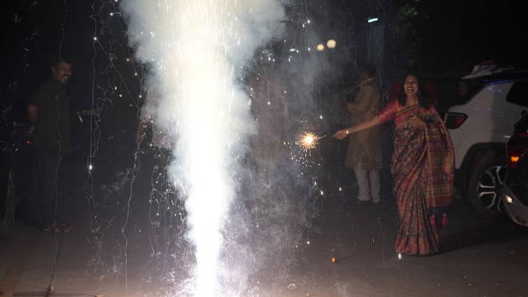 Delhi Fire Department Receives 269 Calls On Diwali Night, No Major Incident Reported