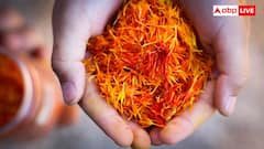 Kashmiri Saffron: कश्मीर के केसर का ईरान से है सीधा संबंध, जानें इस लाल सोने के ईरानी कनेक्शन के बारे में