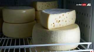 Synthetic Paneer: बाजार में कितने तरह का बिकता है पनीर, जानें कौन-सा सेहत के लिए कितना खतरनाक?