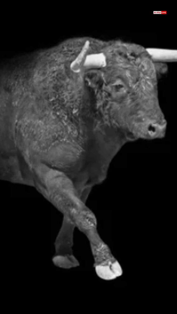 वृषभ रास 22 ऑक्टोबर 2025 आजचे राशीभविष्य