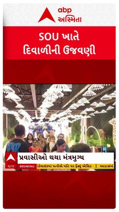 Diwali Celebration : સ્ટેચ્યુ ઓફ યુનિટી ખાતે દિવાળી પર્વની ધામધૂમથી ઉજવણી કરવામાં આવી