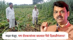 पूरग्रस्त शेतकऱ्यांसाठी मदत मंजूर, पण प्रत्यक्षात खात्यात पैसे दिवाळीनंतरच; सरकारचा अध्यादेश जारी