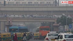 Air Pollution: दिवाली के बाद जहरीली हवा से घुट रहा दम तो आजमाएं ये टिप्स, फेफड़ों को तुरंत मिलेगा सुकून