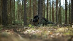 सीजफायर के बाद भी लड़ने लगें दो देश तो कहां होती है सुनवाई, कौन ले सकता है एक्शन?