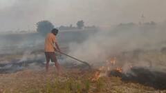 दिल्ली में प्रदूषण को लेकर मंत्री सिरसा का दावा, 'पंजाब में किसानों से जबरन जलवाई गई पराली'