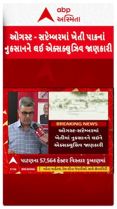 Gujarat Farmers Relief Package : કૃષિ સહાયને લઈ Exclusive જાણકારી , કયા જિલ્લાને મળશે કેટલી સહાય?