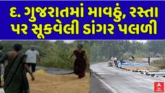 South Gujarat Rain : દક્ષિણ ગુજરાતમાં પડ્યું માવઠું, રસ્તા પર સૂકવેલી ડાંગર પલળી ગઈ