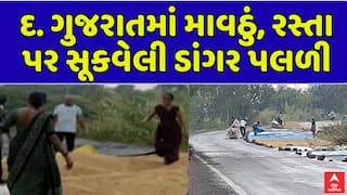 South Gujarat Rain : દક્ષિણ ગુજરાતમાં પડ્યું માવઠું, રસ્તા પર સૂકવેલી ડાંગર પલળી ગઈ