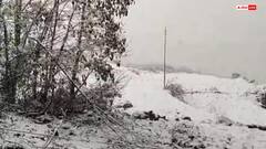 दिवाली के बाद फिर सफेद चादर में लिपटा हिमाचल, कई इलाकों में बर्फबारी से बढ़ी सर्दी