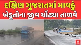 South Gujarat Unseasonal Rain : દક્ષિણ ગુજરાતમાં પડ્યું માવઠું, ખેડૂતોના જીવ ચોંટ્યા તાળવે