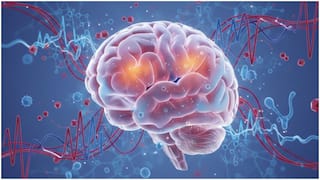 Preventing Stroke in Diabetics : మధుమేహంతో స్ట్రోక్ వస్తుందా? మెదడుపై బ్లడ్ షుగర్ ప్రభావం ఎలా ఉంటుందంటే