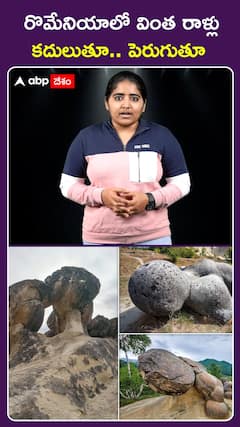 రొమేనియాలో వింత రాళ్లు.. కదులుతూ.. పెరుగుతూ