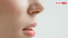 इंसान की नाक से कैसे पता लगाते हैं उसकी जिंदगी की हकीकत? जान लें बेहद आसान तरीका