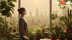 8 Essential Tips To Stay Healthy During Smog And Air Pollution