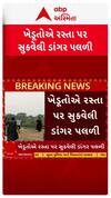 South Gujarat Rain : દક્ષિણ ગુજરાતમાં પડ્યું માવઠું, રસ્તા પર સૂકવેલી ડાંગર પલળી ગઈ