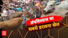 अंधविश्वास का सबसे डरावना खेल