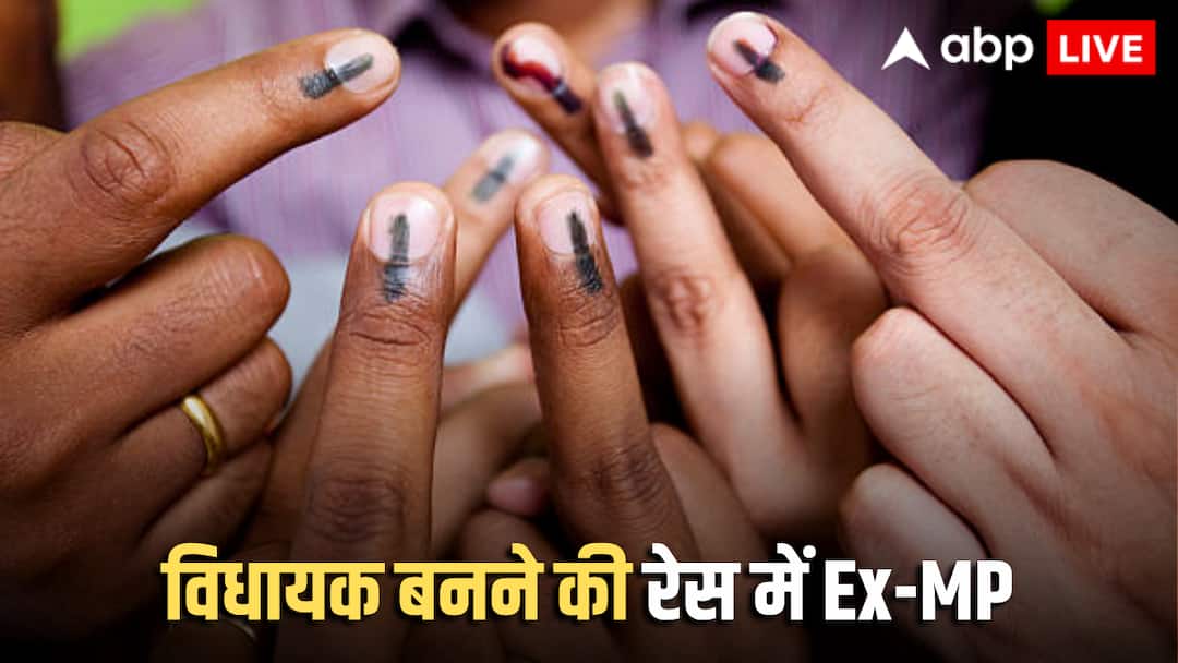 MLA बनने की रेस में पूर्व सांसद! बिहार के चुनावी मैदान में 14 ने लगाया जोर; किस दल ने दिए टिकट?