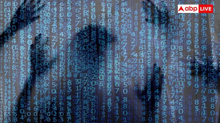 डार्क वेब अपने वैध उपयोग के बावजूद यहां पर पनपने वाली अवैध गतिविधियों की वजह से काफी ज्यादा कुख्यात है. यहां पर हथियारों, ड्रग्स, नकली मुद्रा और चोरी किए गए डाटा के काले बाजार हैं. इतना ही नहीं बल्कि कुछ वेबसाइट तो हैकिंग टूल भी बेचती हैं या फिर किराए पर हिटमैन जैसी सेवाएं भी देती हैं.