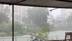 નવા વર્ષે જ મિની વાવાઝોડા જેવો વરસાદ! વલસાડમાં ધોધમાર વરસાદથી જનજીવન અસ્તવ્યસ્ત, ગુજરાતમાં આગામી 6 દિવસ વરસાદનું એલર્ટ