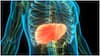 Liver Disease Symptoms: ਲੀਵਰ ਦੀ ਬਿਮਾਰੀ ਨਾਲ ਮਸ਼ਹੂਰ ਅਦਾਕਾਰ ਦੀ ਗਈ ਜਾਨ, ਸਰੀਰ ਬਣ ਗਿਆ ਸੀ ਪਿੰਜਰ; ਇਨ੍ਹਾਂ ਲੱਛਣਾਂ ਨੂੰ ਨਜ਼ਰਅੰਦਾਜ਼ ਕਰਨਾ ਮੌਤ ਨੂੰ ਬੁਲਾਵਾ...