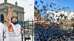 दादर कबुतरखान्याचा वाद संपता संपेना, आता जैन मुनी आझाद मैदानात उपोषणाला बसणार, तारीखही ठरली