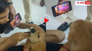 बच्चों तक तो ठीक था अब कु्त्तों पर भी चढ़ा स्मार्टफोन का बुखार! वीडियो देख सिर पीट लेंगे आप