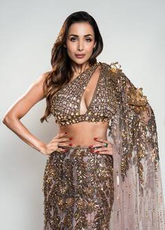 Malaika Arora Birthday: फर्श से अर्श तक का सफर... यूं ही नहीं आइटम क्वीन बन गईं मलाइका अरोड़ा