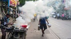 Kolkata Air Quality 'Poor' After Diwali: Firecrackers, Lax Enforcement Blamed