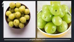 ਰੋਜ਼ਾਨਾ ਸਿਰਫ ਇੱਕ ਆਂਵਲਾ ਖਾਣਾ ਸਿਹਤ ਲਈ ਵਰਦਾਨ, ਅੱਖਾਂ ਦੀ ਰੌਸ਼ਨੀ ਸਣੇ ਚਮੜੀ ਅਤੇ ਵਾਲਾਂ ਲਈ ਲਾਹੇਵੰਦ