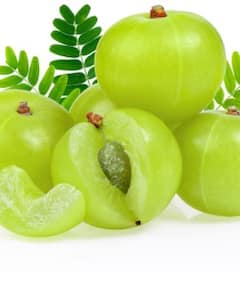 ਰੋਜ਼ਾਨਾ ਸਿਰਫ ਇੱਕ ਆਂਵਲਾ ਖਾਣਾ ਸਿਹਤ ਲਈ ਵਰਦਾਨ, ਅੱਖਾਂ ਦੀ ਰੌਸ਼ਨੀ ਸਣੇ ਚਮੜੀ ਅਤੇ ਵਾਲਾਂ ਲਈ ਲਾਹੇਵੰਦ