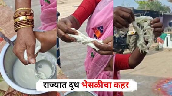 Dhule Milk Adulteration: राज्यात दूध भेसळीचा कहर, उकळी आणताच चक्क रबर तयार! धक्कादायक व्हिडिओ व्हायरल