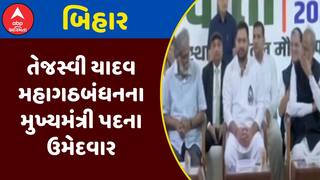 Bihar Election 2025: બિહાર વિધાનસભાની ચૂંટણીમાં તેજસ્વી યાદવ મહાગઠબંધનના મુખ્યમંત્રી પદના ઉમેદવાર