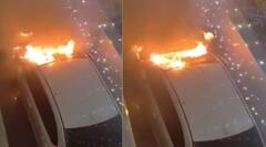 દિવાળી પર ફટાકડાથી કાર સળગી ગઈ તો શું મળશે ઈન્શ્યોરન્સના પૈસા? જાણો શું કહે છે નિયમ