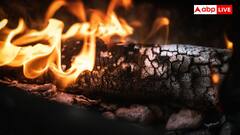 Winter Survival: जब दुनिया में नहीं थे कंबल और रजाई, तब कड़ाके की सर्दी से कैसे बचते थे लोग?