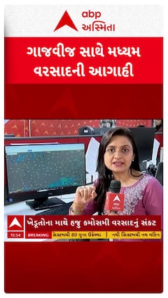 Windy Forecast : વરસાદી સિસ્ટમ બનશે તોફાની! ગુજરાતને ઘમરોળશે વરસાદ, સમજો વિન્ડીની મદદથી