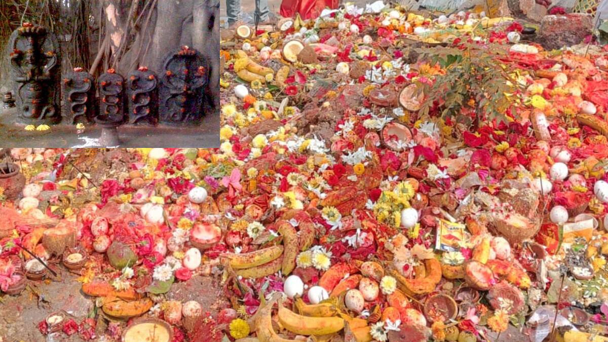 Nagula Chavithi 2025 Date Time : నాగుల చవితి ఎప్పుడు? పుట్టలో పాలుపోసే ముహూర్తం, పుట్ట దగ్గర చదువుకోవాల్సిన శ్లోకం ఇదే!