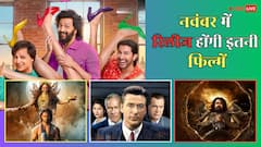 नवंबर में हर हफ्ते होगा महाक्लैश! थिएटर्स में रिलीज होंगी 25 से ज्यादा फिल्में