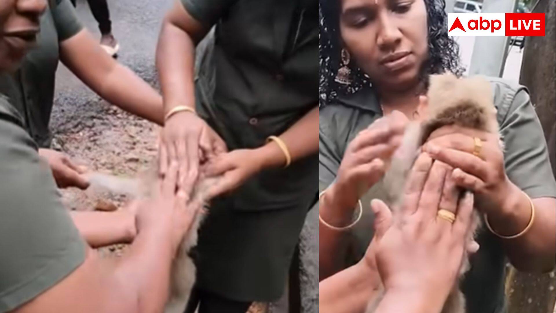 महिला फॉरेस्ट स्टाफ की बहादुरी, CPR से बंदर के बच्चे की जान बचाई, अब सोशल मीडिया पर आई तारीफों की बाढ़