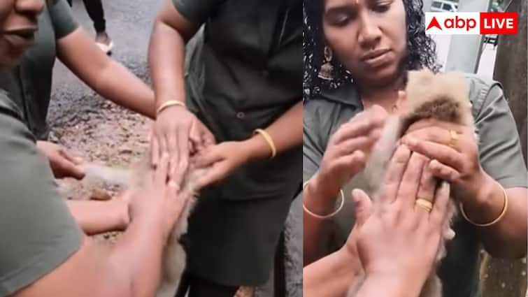 महिला फॉरेस्ट स्टाफ की बहादुरी, CPR से बंदर के बच्चे की जान बचाई, अब सोशल मीडिया पर आई तारीफों महिला फॉरेस्ट स्टाफ की बहादुरी, CPR से बंदर के बच्चे की जान बचाई, अब सोशल मीडिया पर आई तारीफों