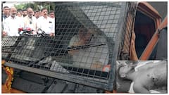 గోవధ జరిగితే చేతులు కట్టుకొని కూర్చోం- పోలీసులు చేయలేని పని చేసి చూపిస్తాం: బండి సంజయ్‌