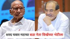 माझा राजकीय बाप शरद पवारच म्हणणाऱ्या नेत्यानं घेतली विखे पाटलांची भेट; शरद पवार गटाला मोठा धक्का बसणार?