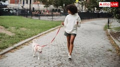 क्या टहलने से भी कम हो सकता है यूरिक एसिड, जानें 10 मिनट की वॉक से कितनी दिक्कत होती है दूर?